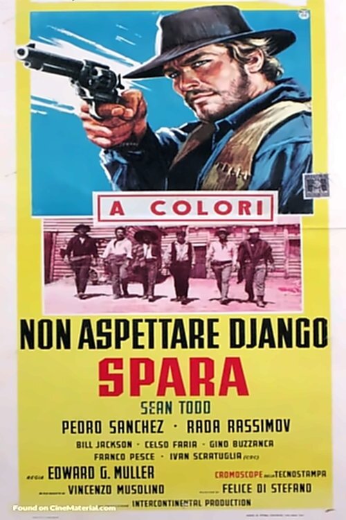 Locandina di Non aspettare Django, spara