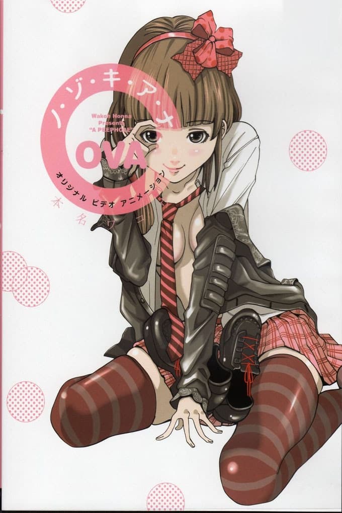 Locandina di Nozoki Ana