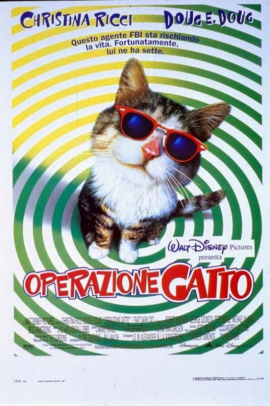 Locandina di Operazione gatto