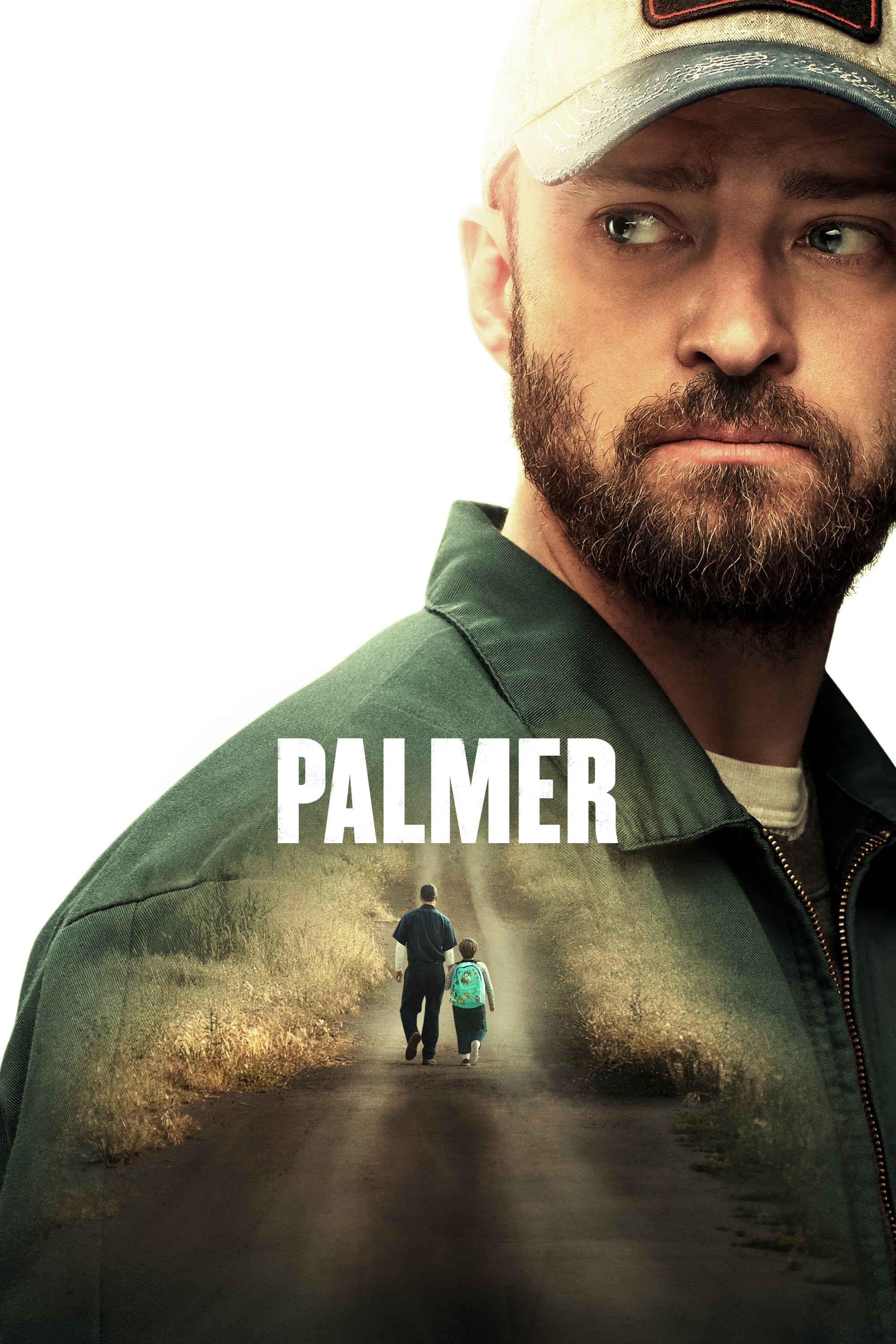 Locandina di Palmer