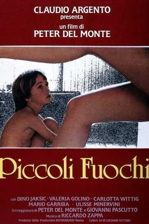 Locandina di Piccoli fuochi