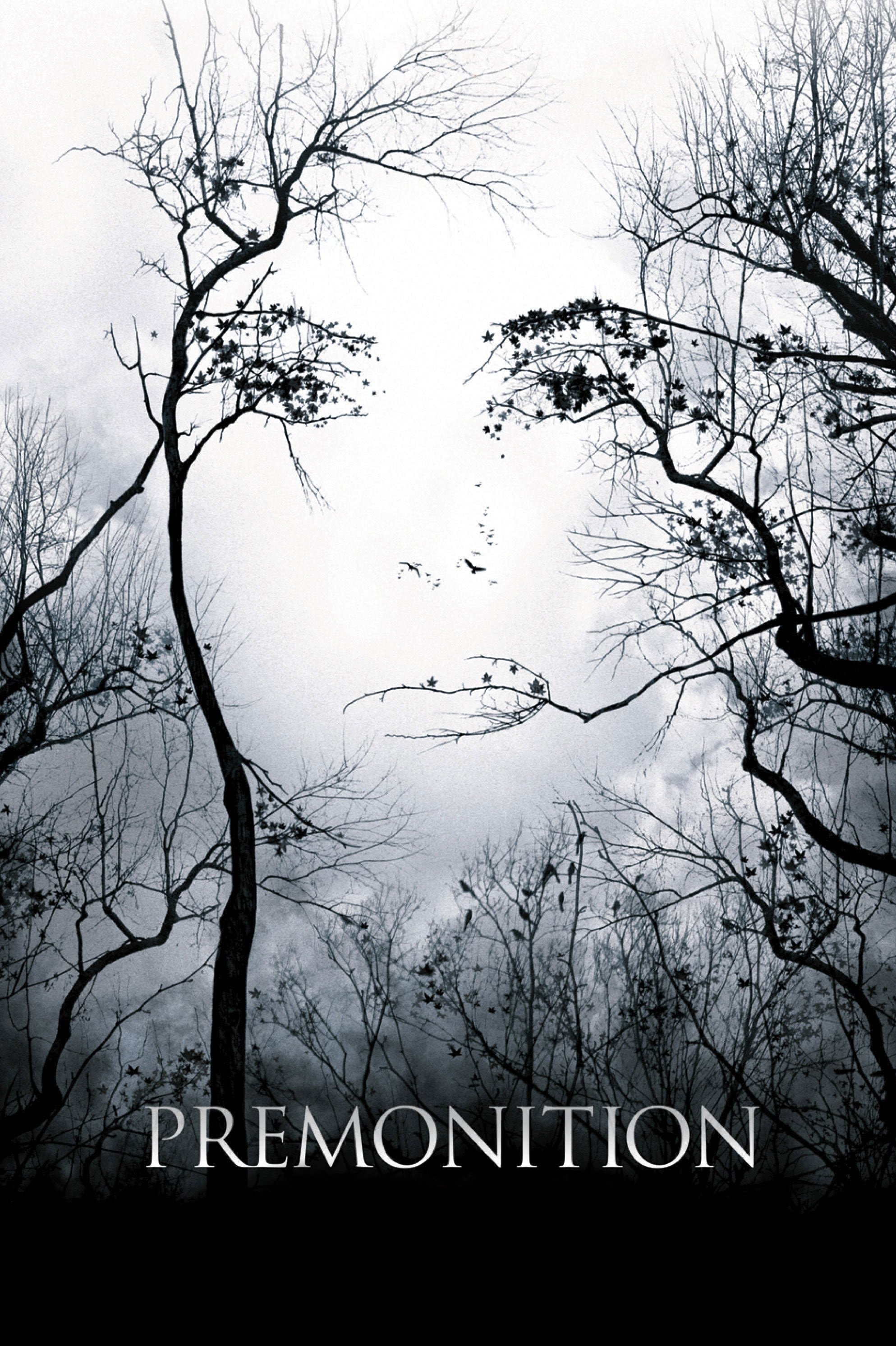 Locandina di Premonition