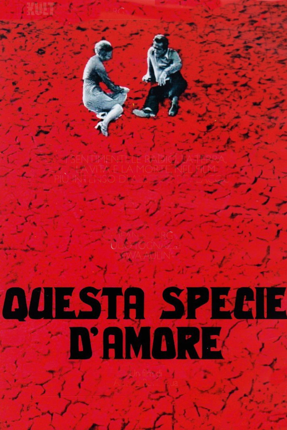 Locandina di Questa specie d'amore