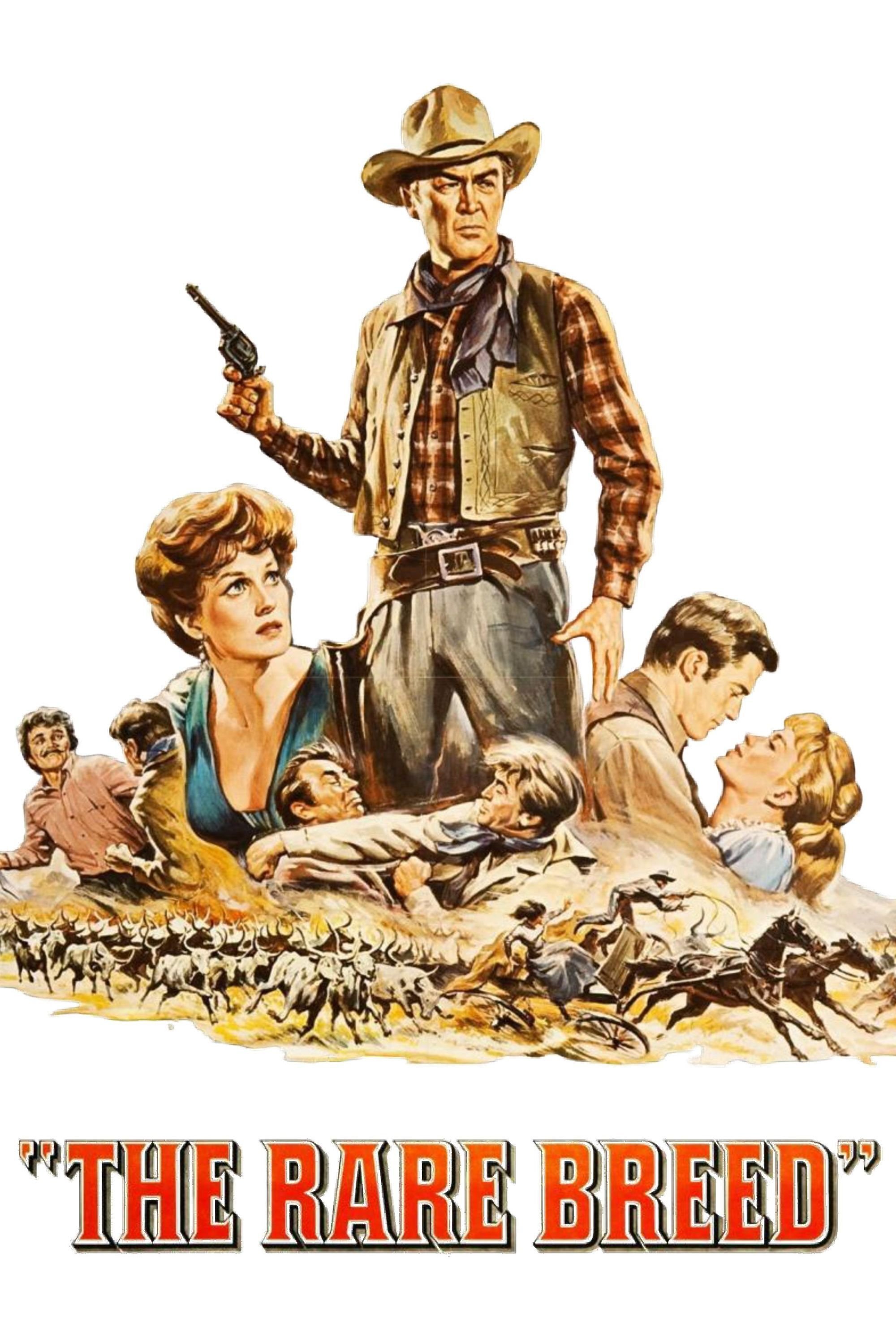 Locandina di Rancho bravo