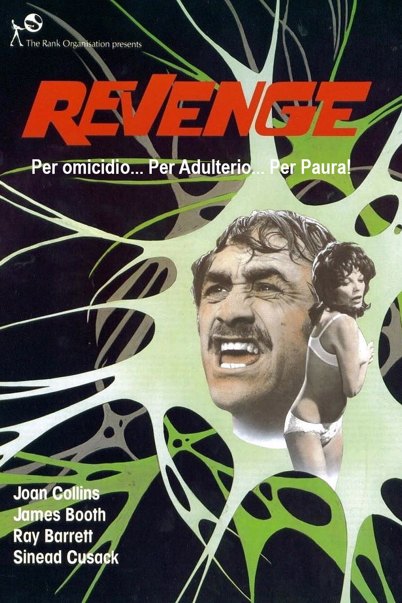 Locandina di Revenge