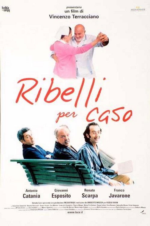 Locandina di Ribelli per caso