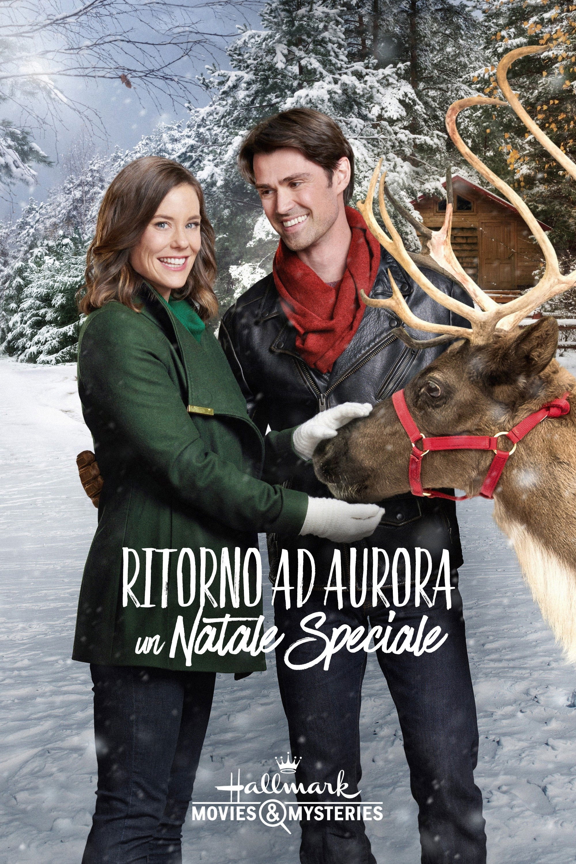 Locandina di Ritorno ad Aurora: Un Natale speciale