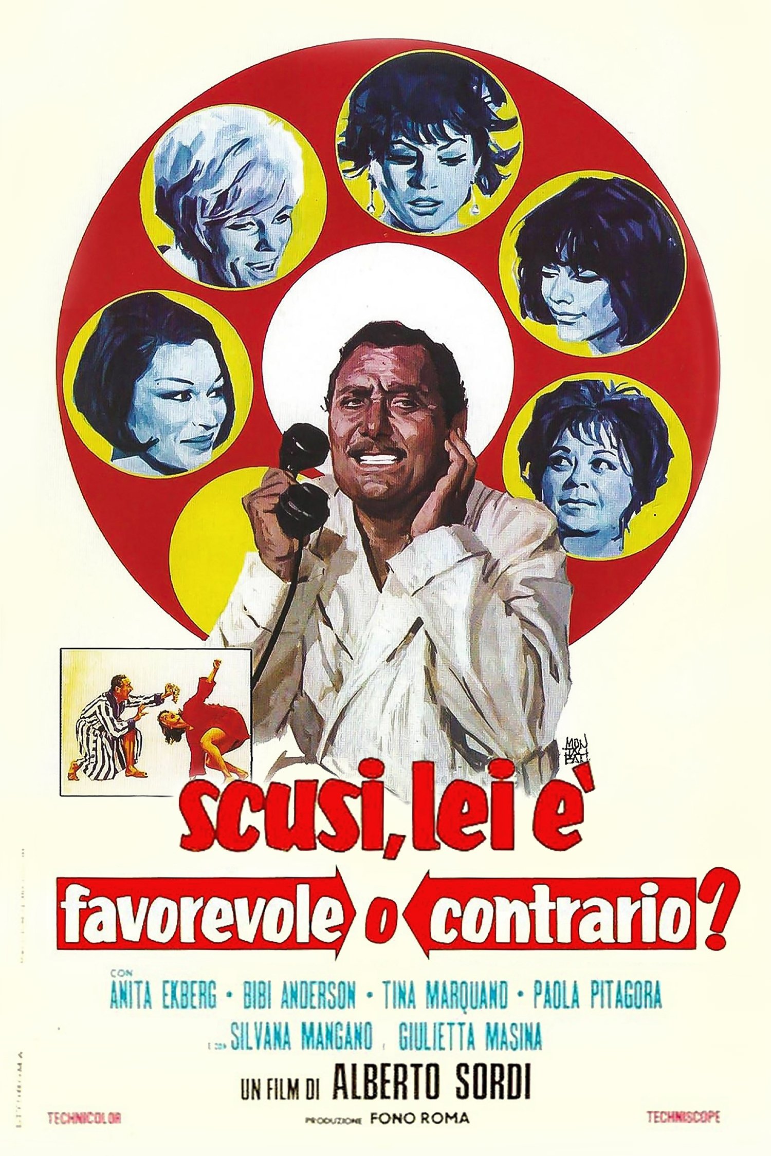 Locandina di Scusi, lei è favorevole o contrario?