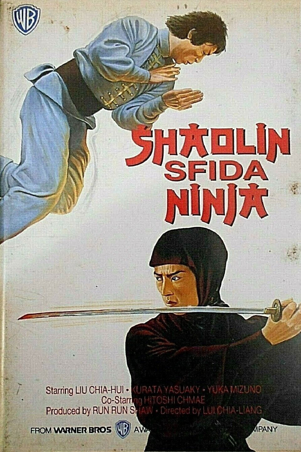Locandina di Shaolin sfida ninja