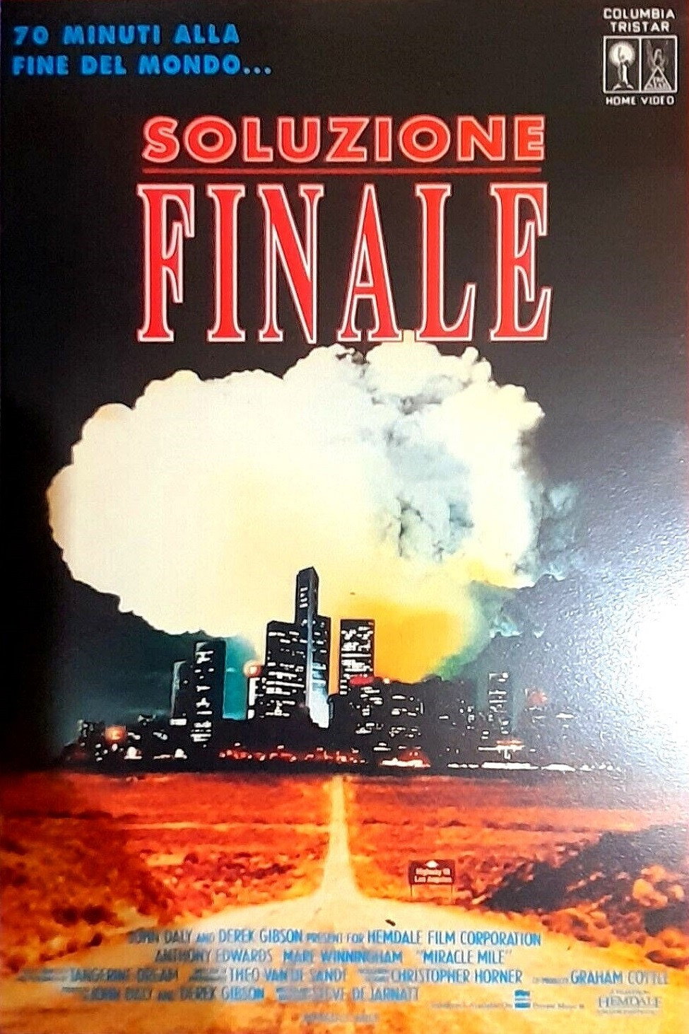Locandina di Soluzione finale