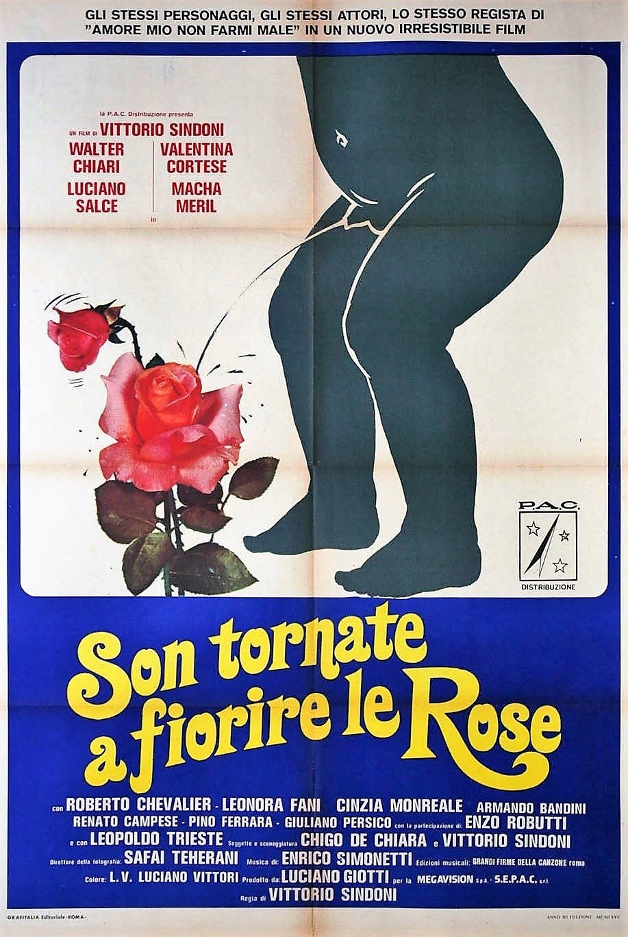 Locandina di Son tornate a fiorire le rose