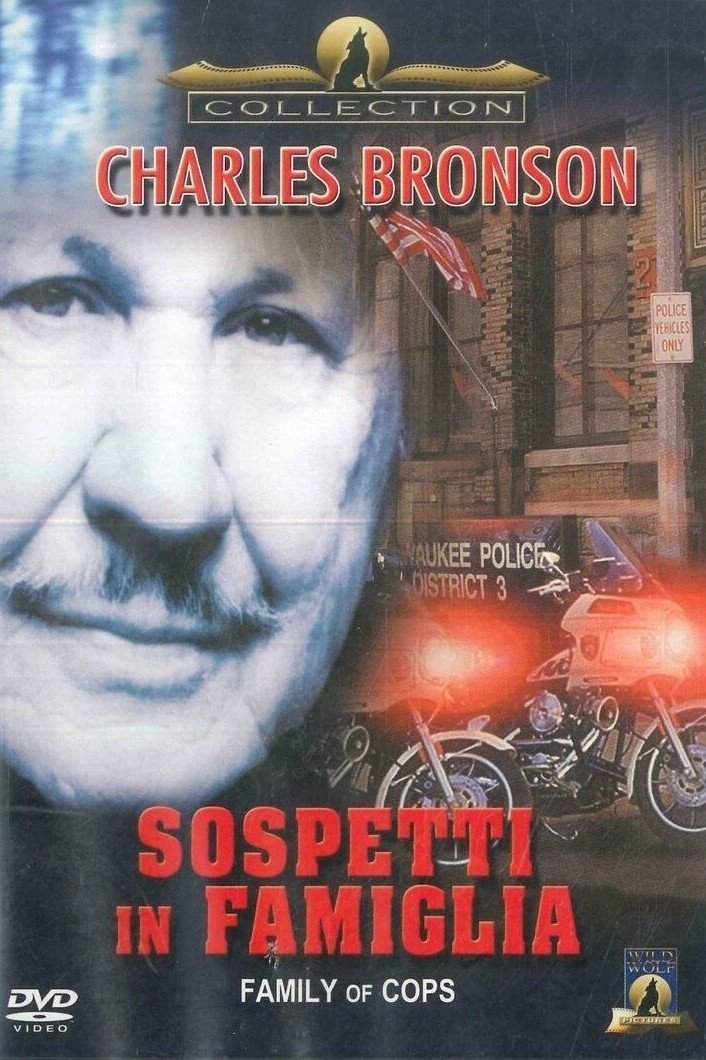 Locandina di Sospetti in famiglia