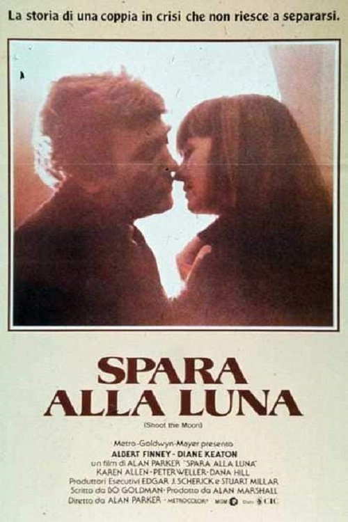 Locandina di Spara alla luna