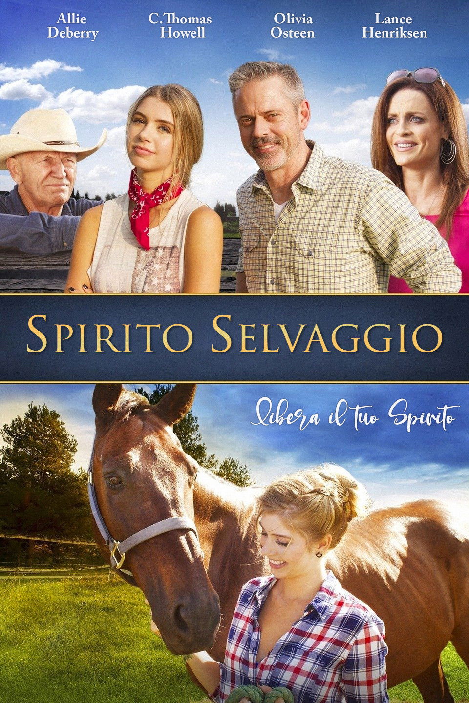 Locandina di Spirito selvaggio