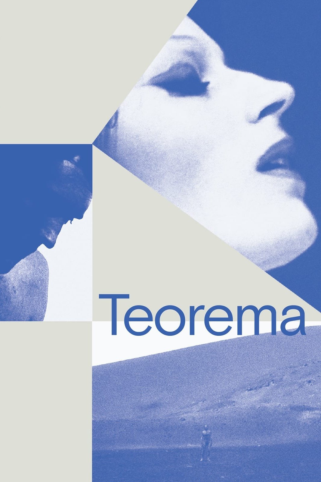 Locandina di Teorema