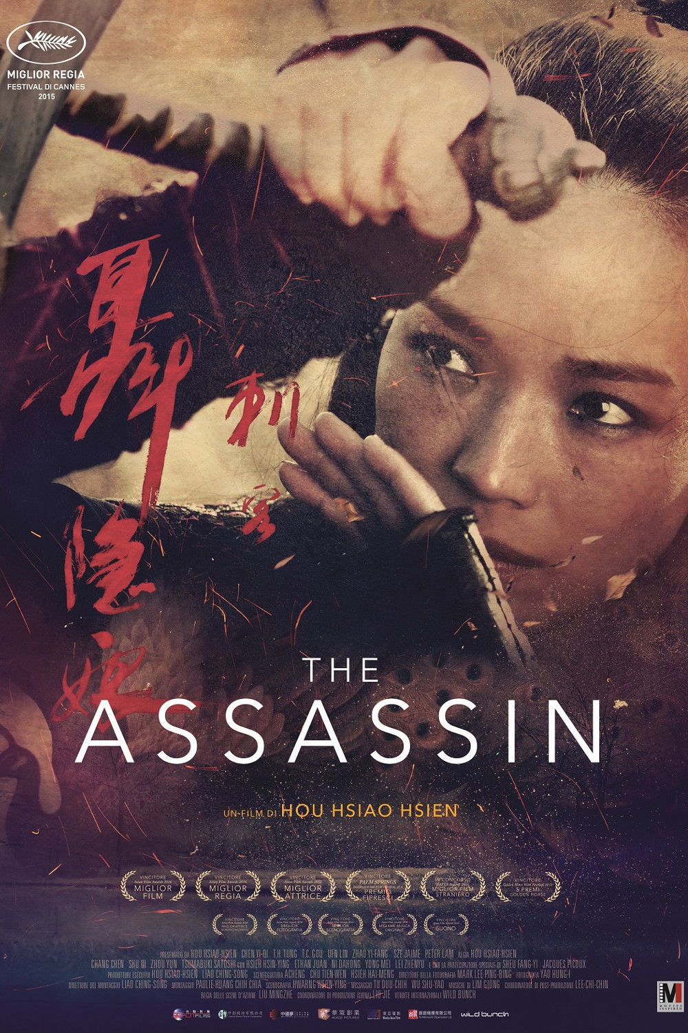 Locandina di The Assassin