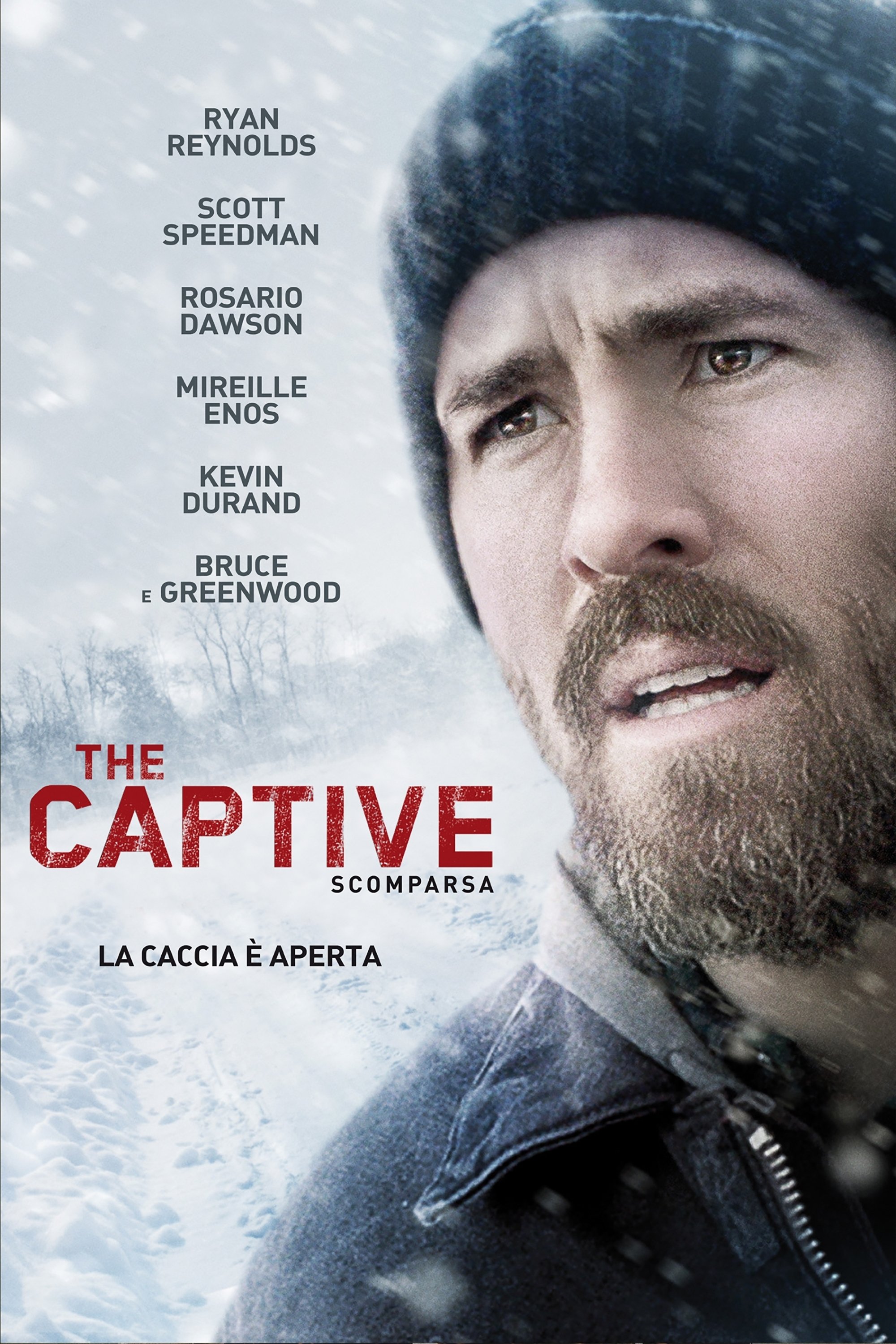 Locandina di The Captive: Scomparsa