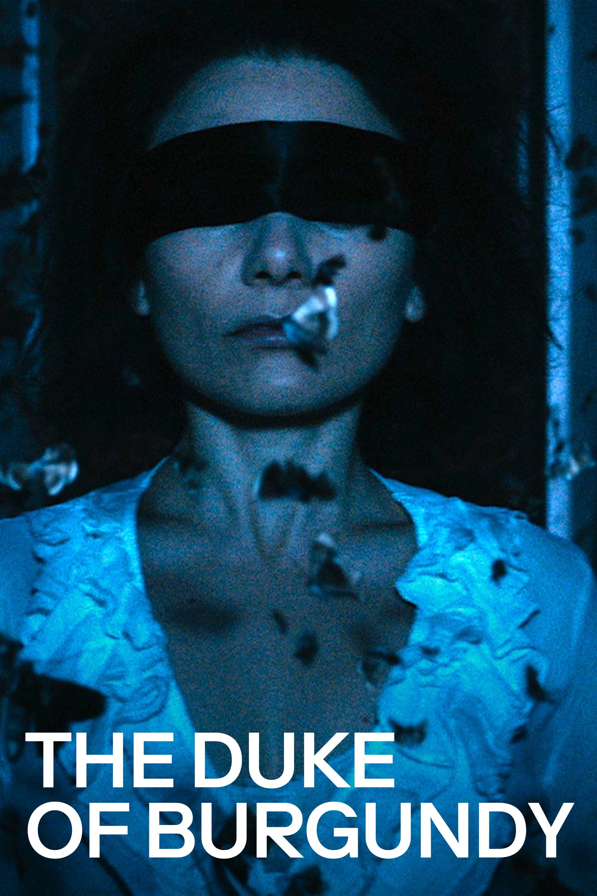 Locandina di The Duke of Burgundy
