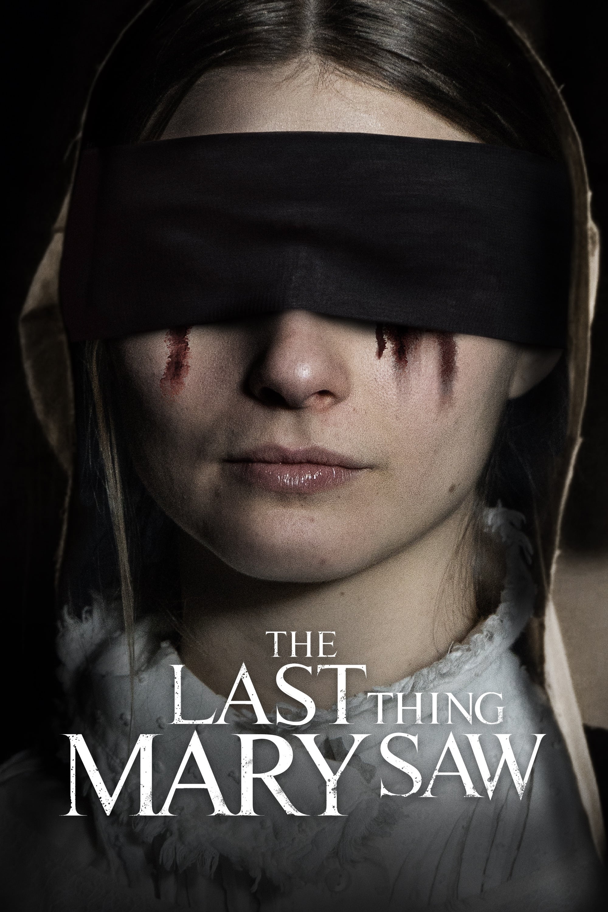 Locandina di The Last Thing Mary Saw