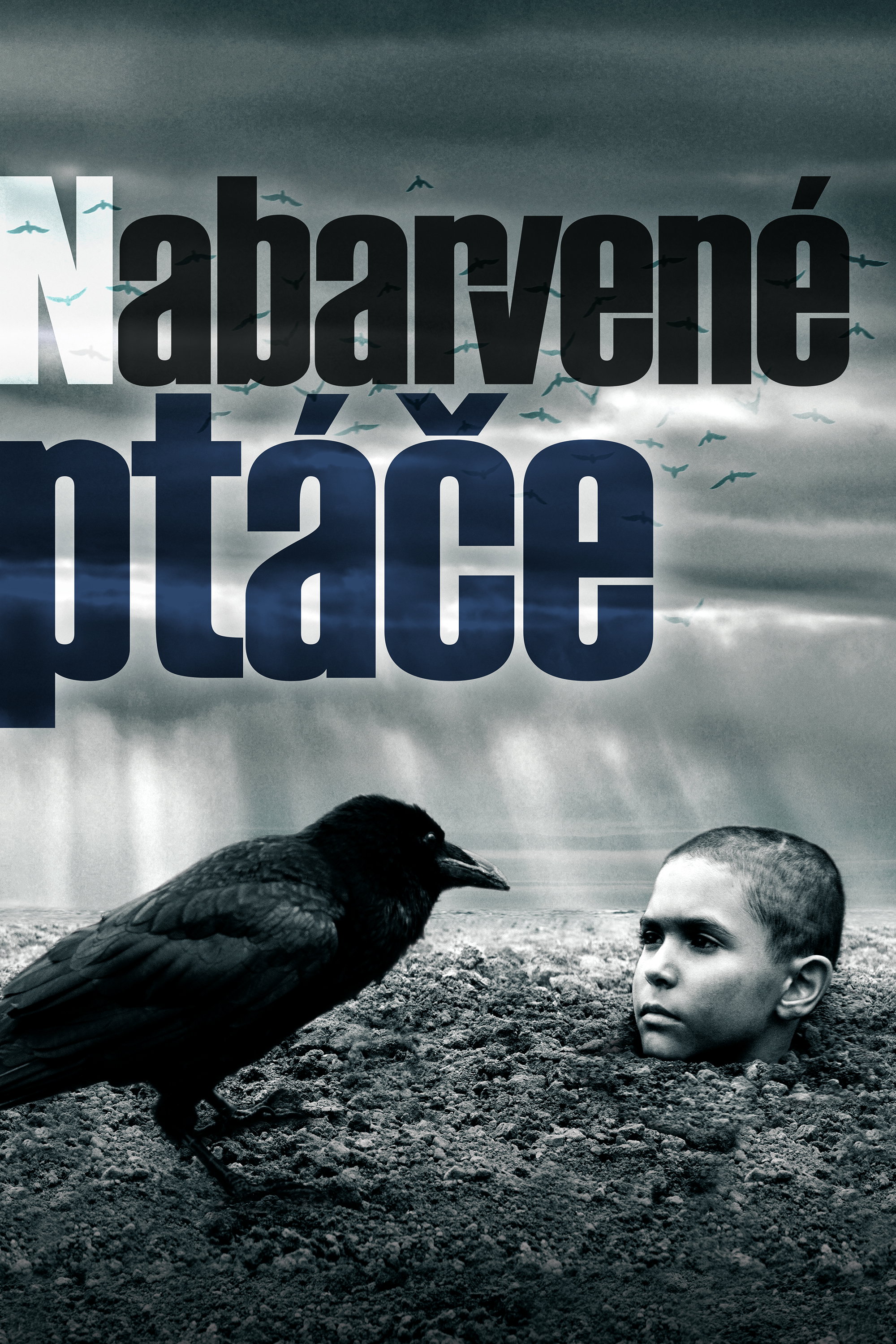 Locandina di The Painted Bird - Nabarvené ptáče