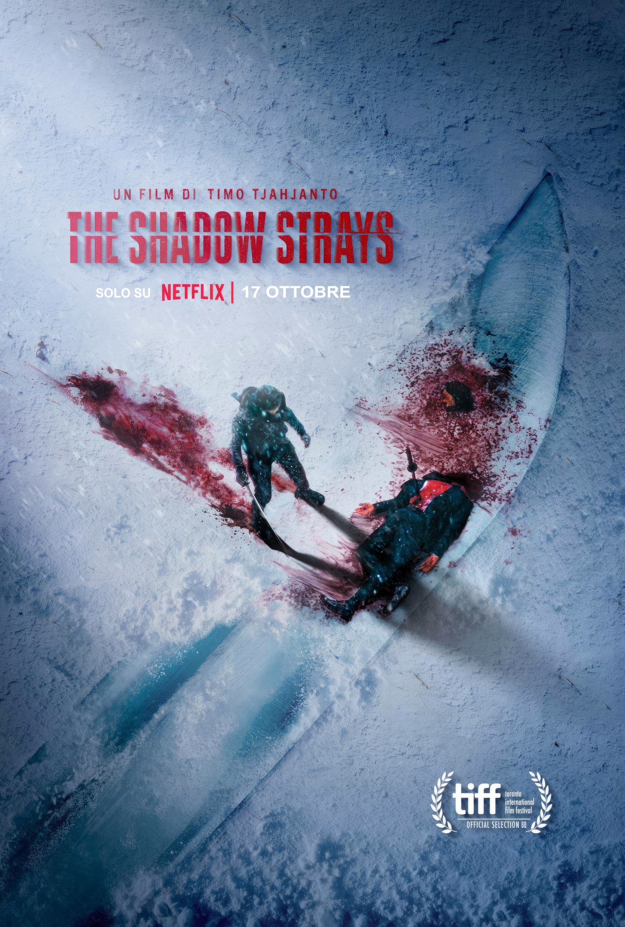 Locandina di The Shadow Strays