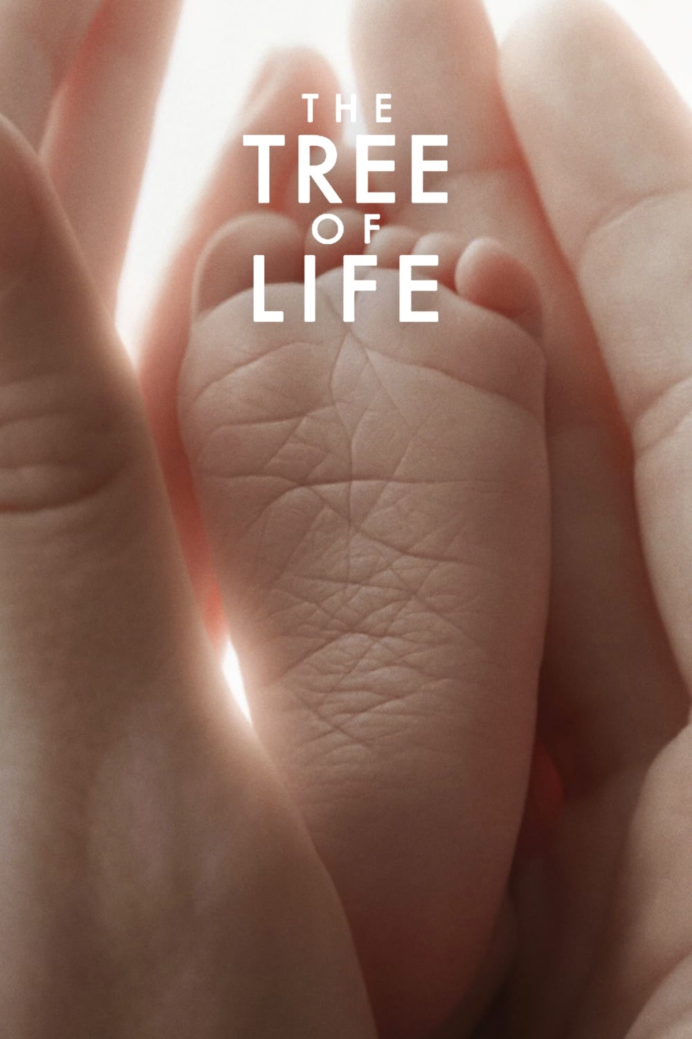 Locandina di The Tree of Life