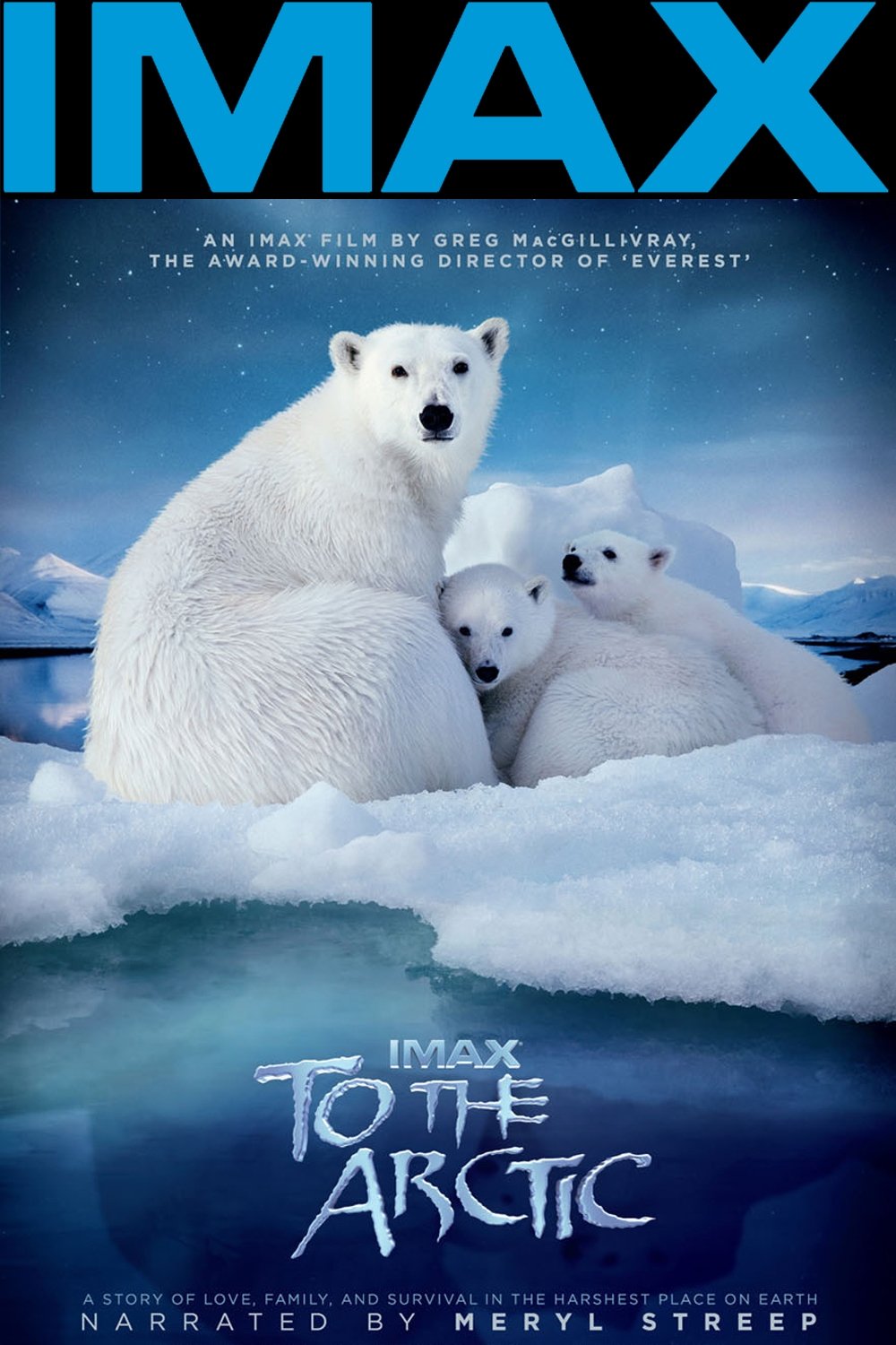 Locandina di To the Arctic 3D
