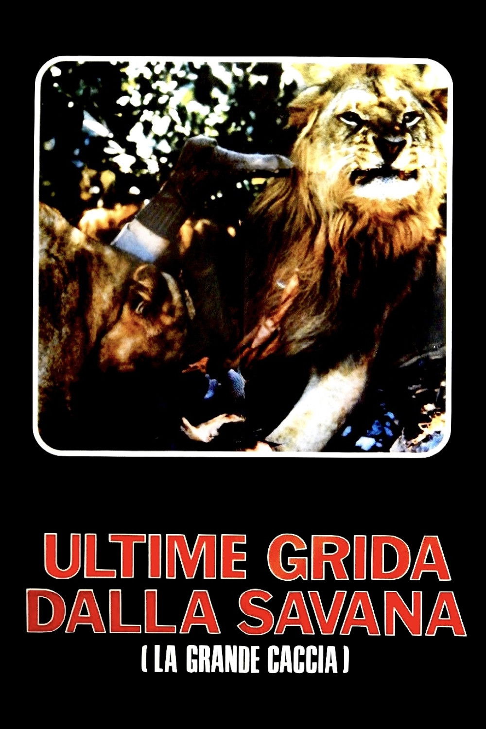 Locandina di Ultime grida dalla savana