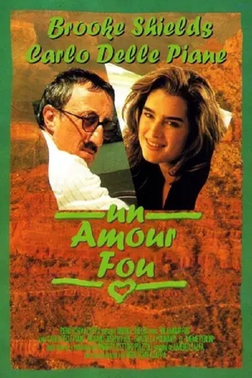 Locandina di Un amore americano