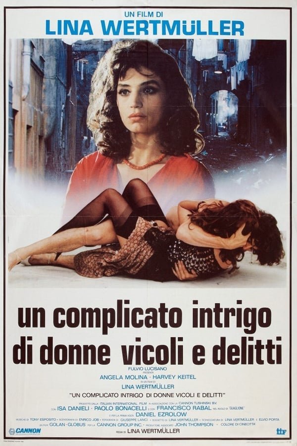 Locandina di Un complicato intrigo di donne, vicoli e delitti