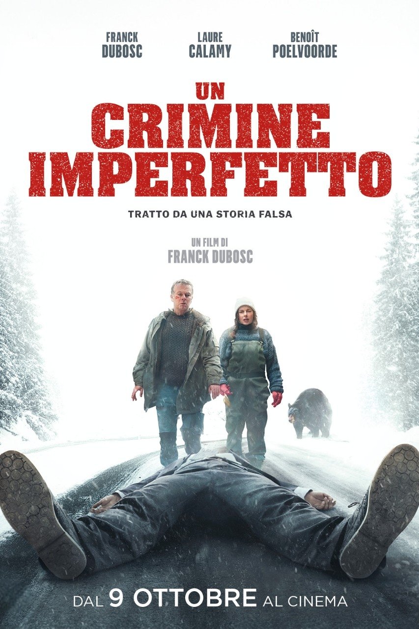 Locandina di Un crimine imperfetto