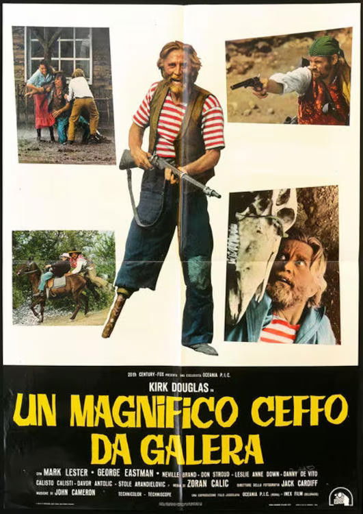 Locandina di Un magnifico ceffo da galera