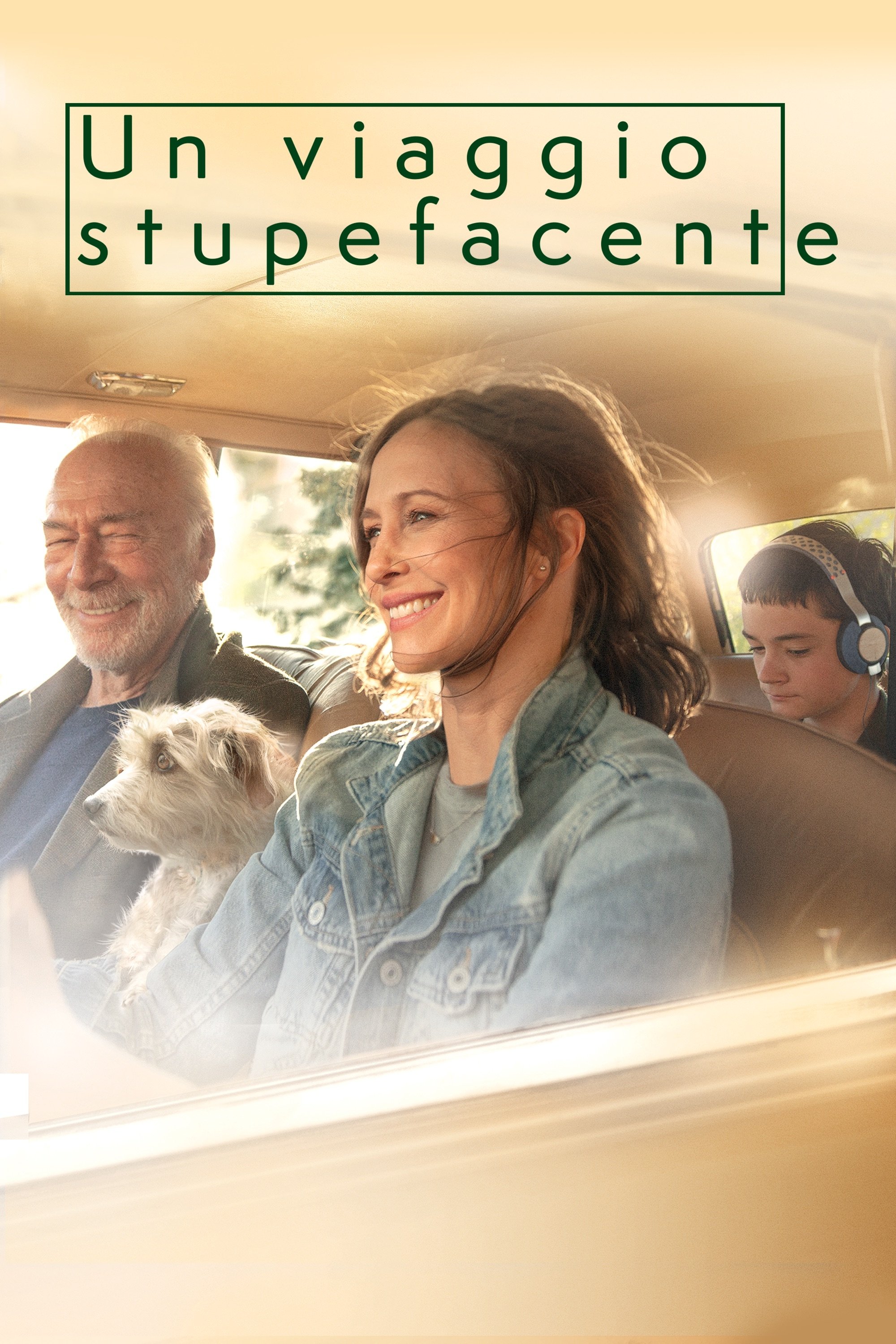 Locandina di Un viaggio stupefacente