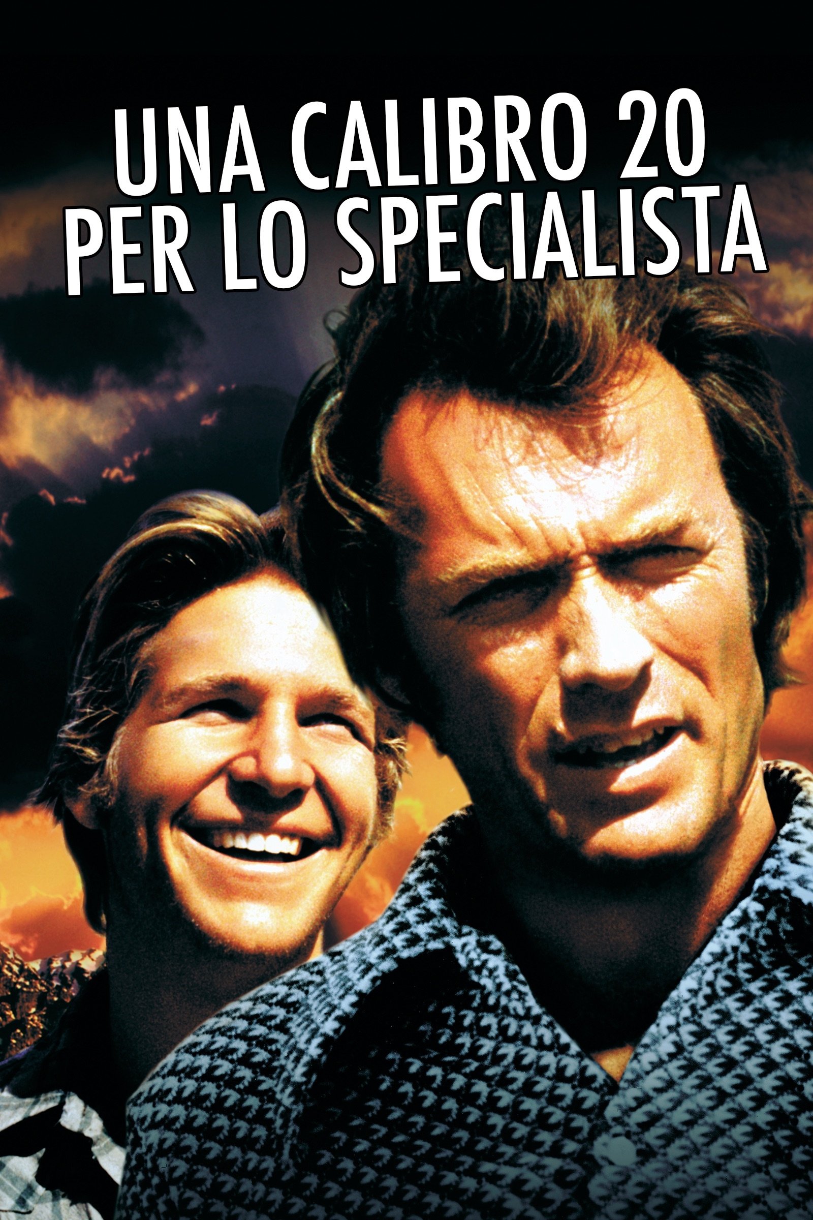 Locandina di Una calibro 20 per lo specialista