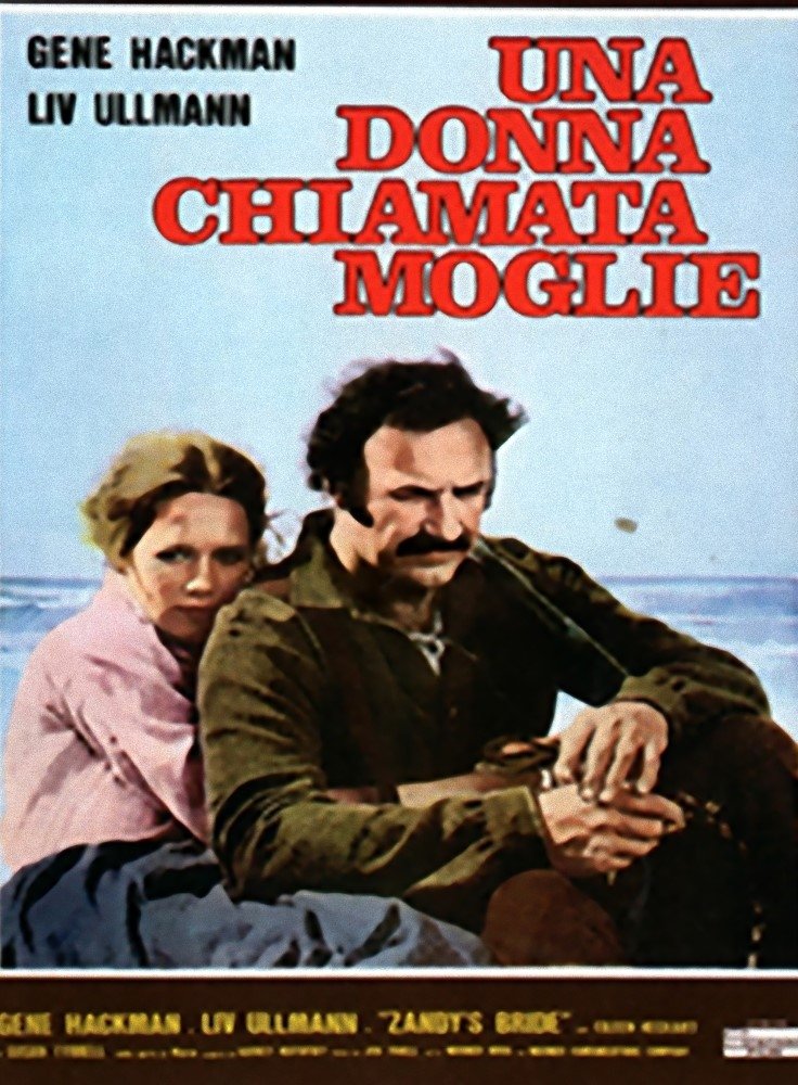 Locandina di Una donna chiamata moglie