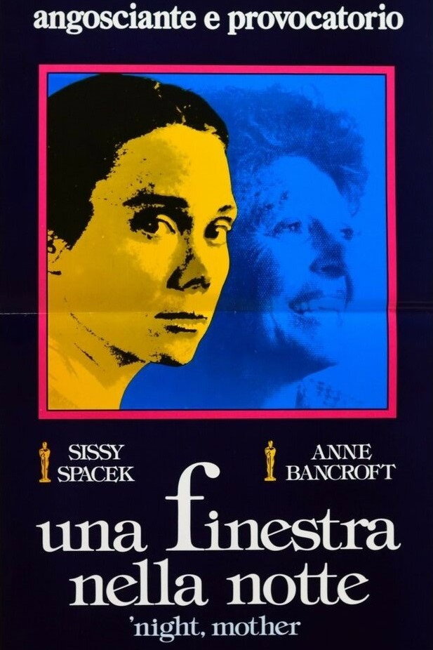 Locandina di Una finestra nella notte