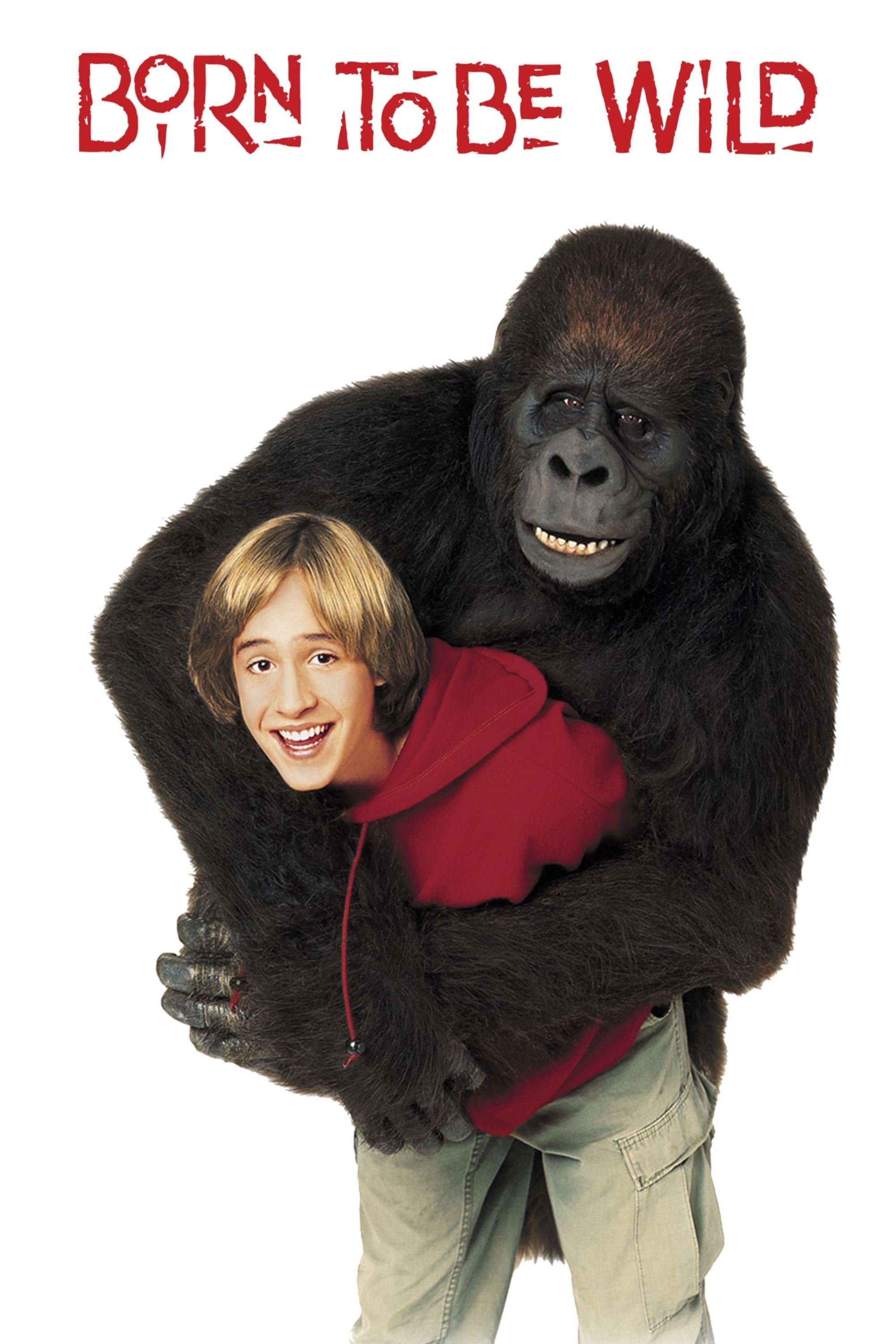 Locandina di Una gorilla per amica