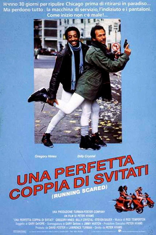 Locandina di Una perfetta coppia di svitati