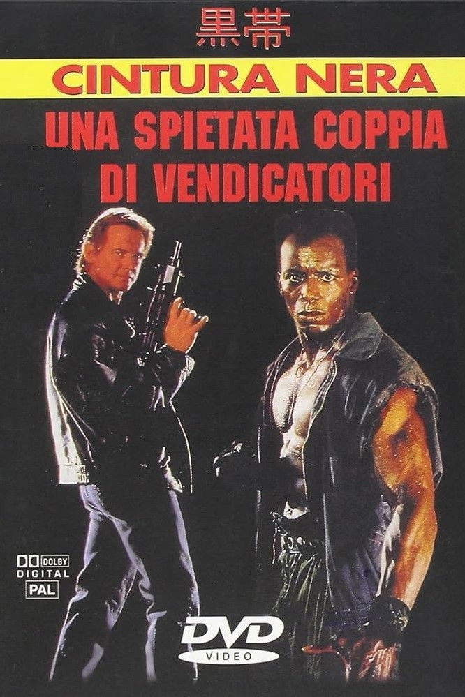 Locandina di Una spietata coppia di vendicatori