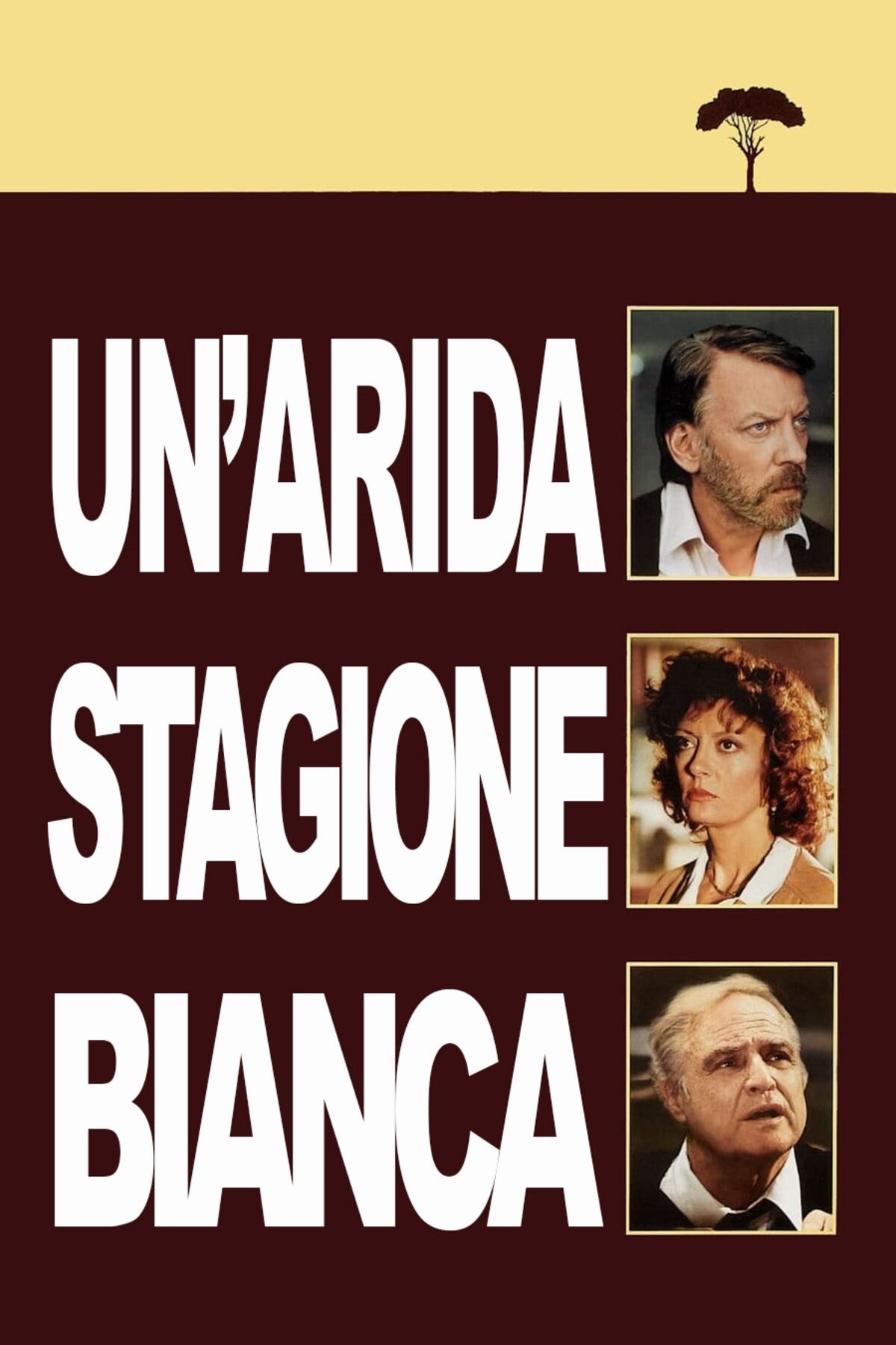 Locandina di Un'arida stagione bianca
