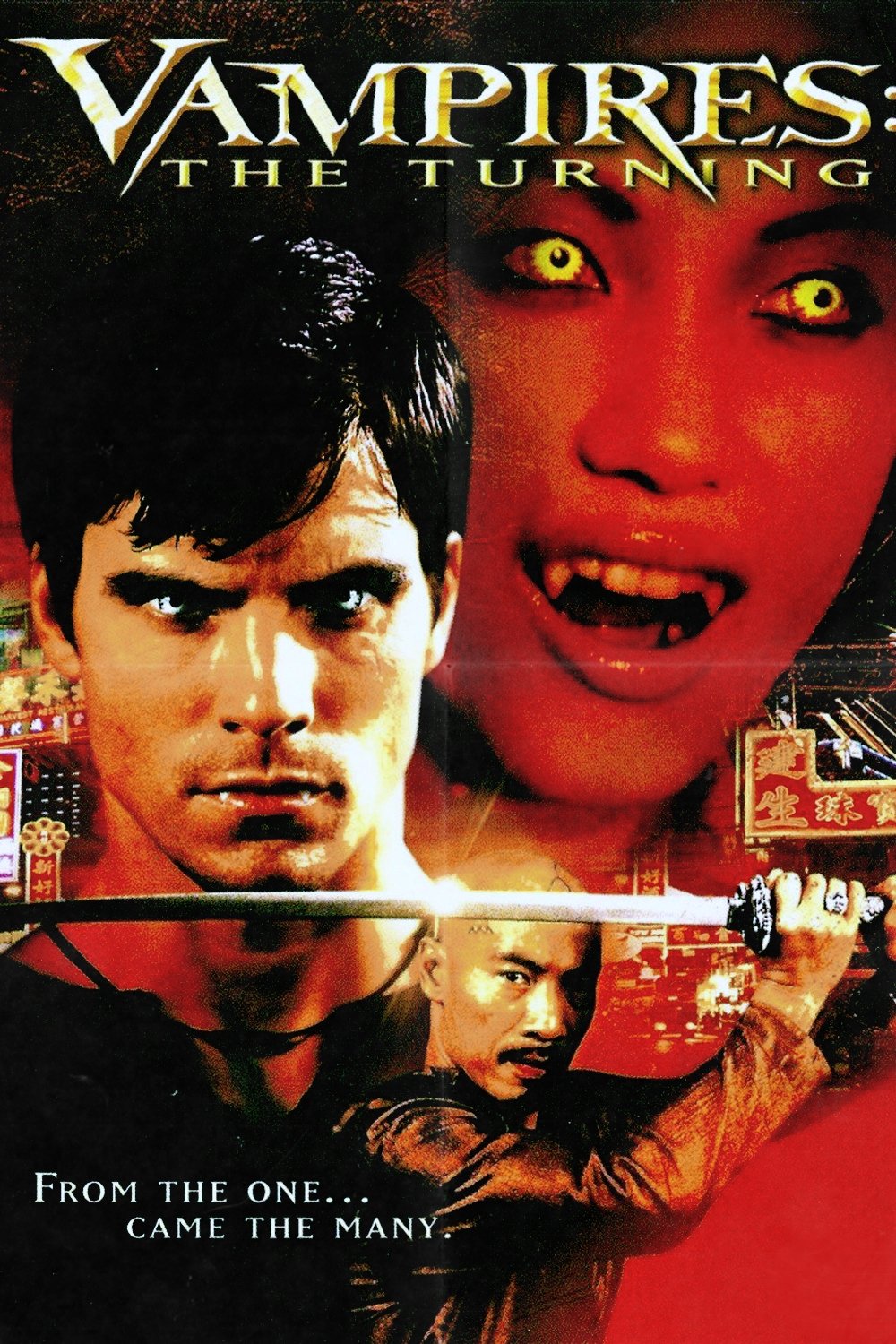 Locandina di Vampires 3