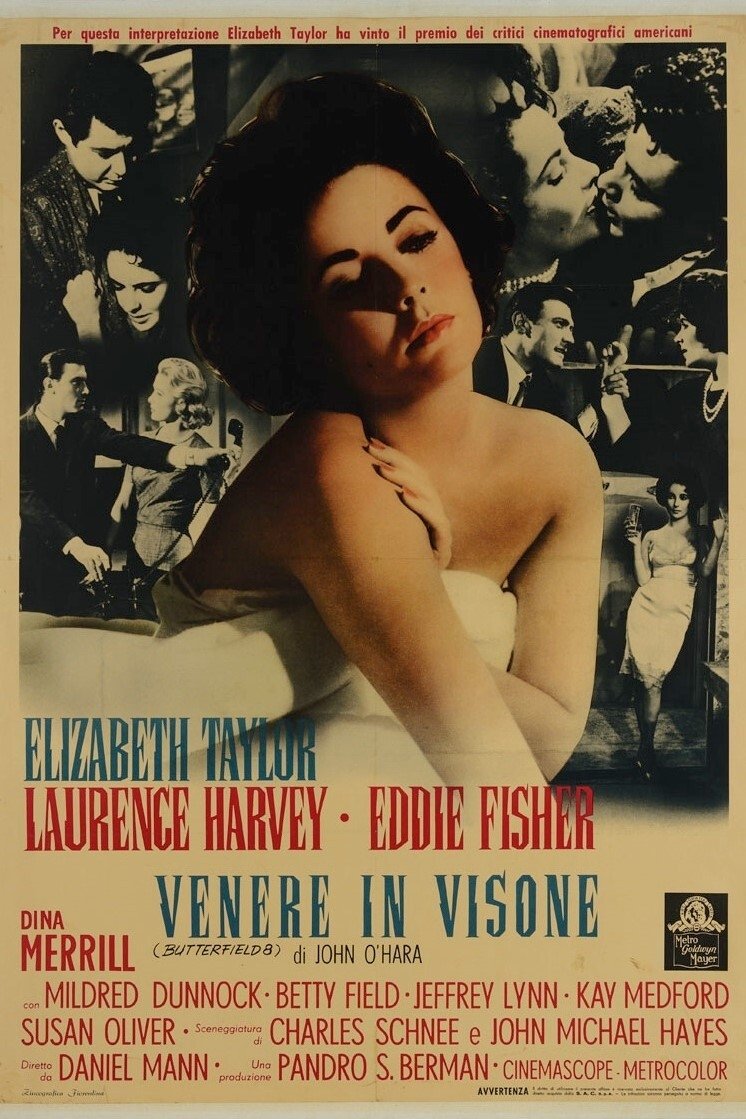 Locandina di Venere in visone