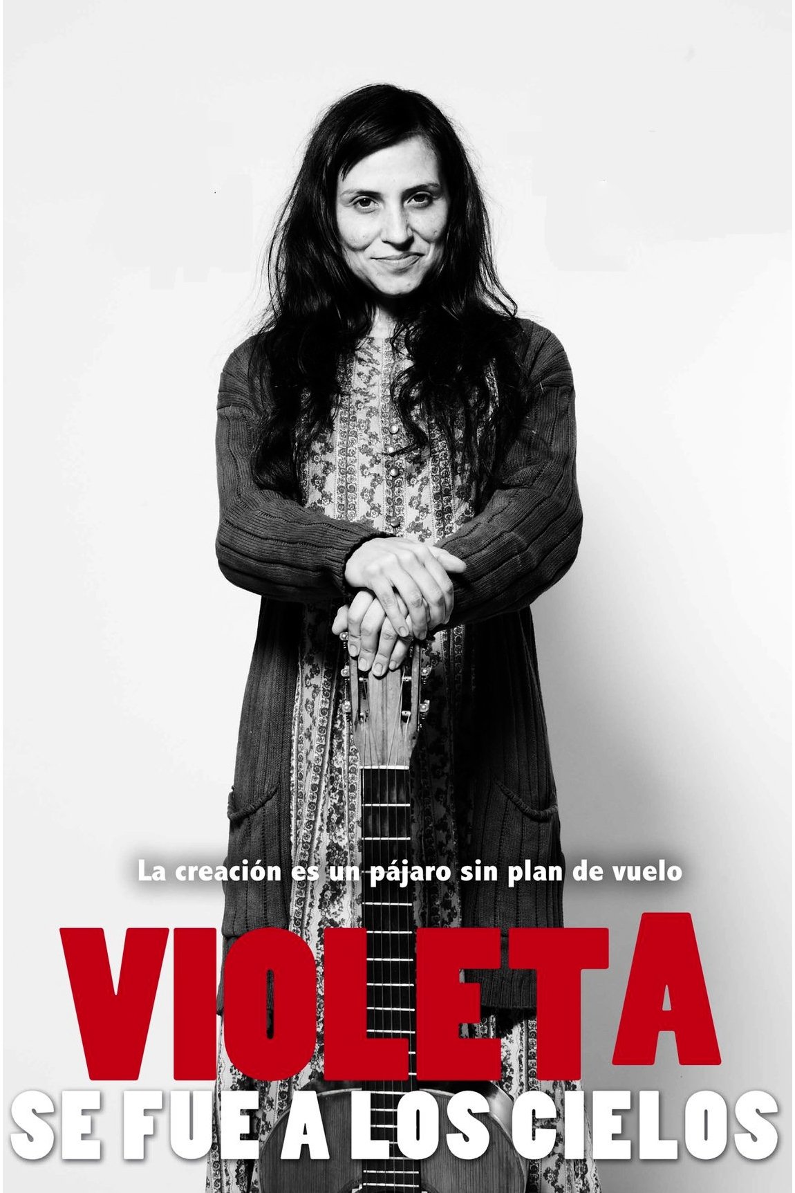 Locandina di Violeta Parra - Went To Heaven