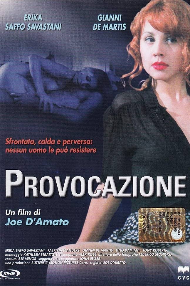 Locandina di Vizio e provocazione