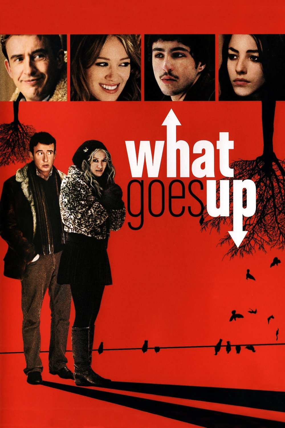 Locandina di What Goes Up