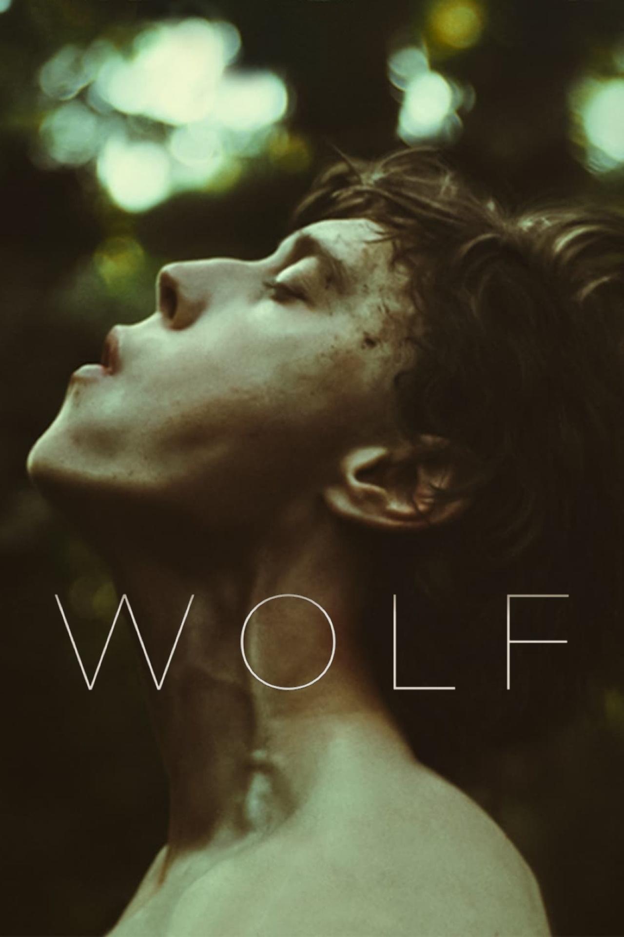 Locandina di Wolf