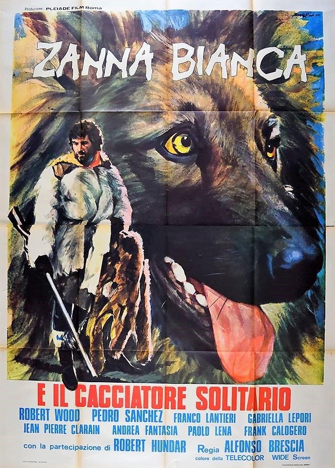 Locandina di Zanna Bianca e il cacciatore solitario